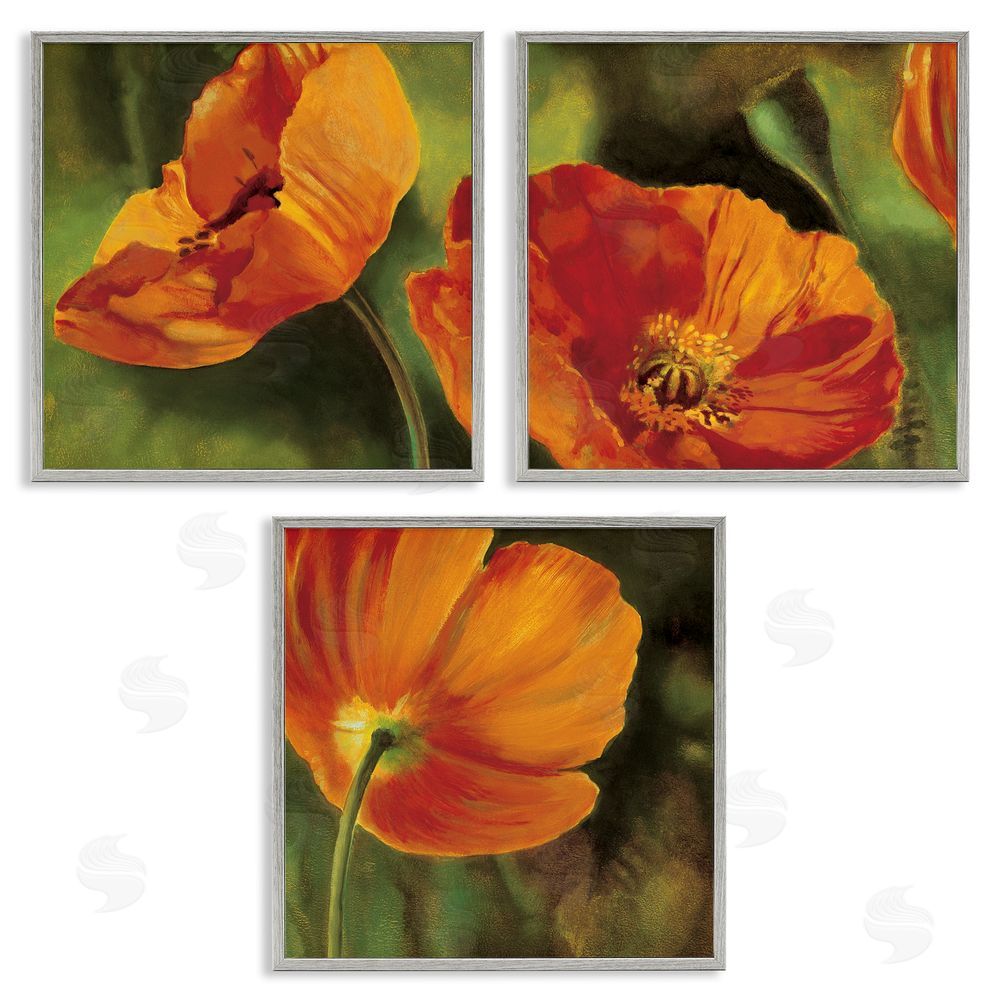 Pierre Viollet Wild Poppy Blooms Flower Garden Gray Framed Giclee Wall Art Print