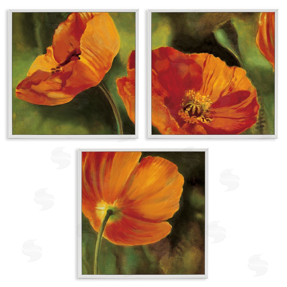 Pierre Viollet Wild Poppy Blooms Flower Garden White Framed Giclee Wall Art Print