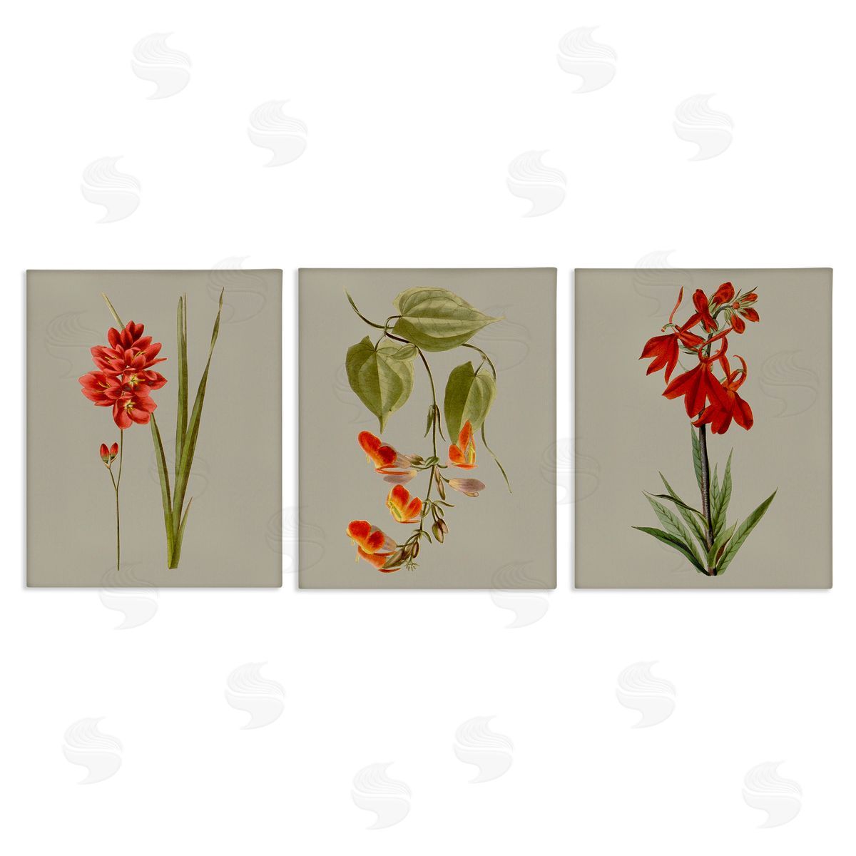 Vision Studio Woodland Flower Study Canvas Wall Art Print