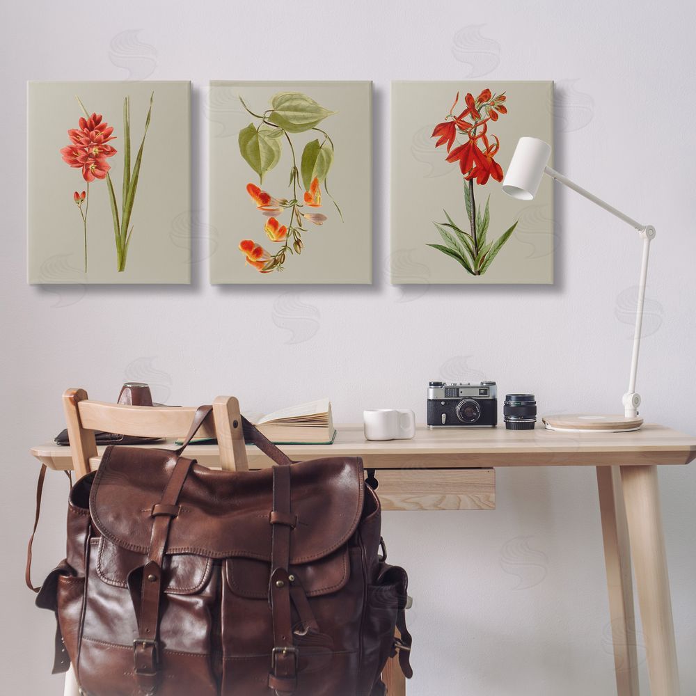 Vision Studio Woodland Flower Study Canvas Wall Art Print in Room