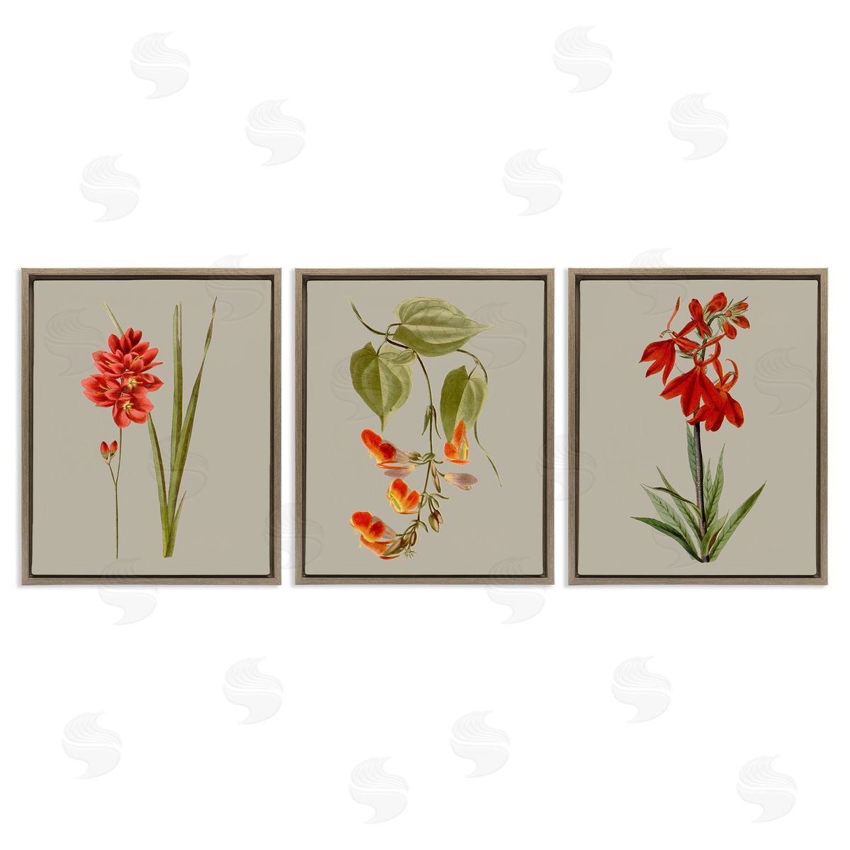 Vision Studio Woodland Flower Study Brown Floating Frame Canvas Wall Art Print
