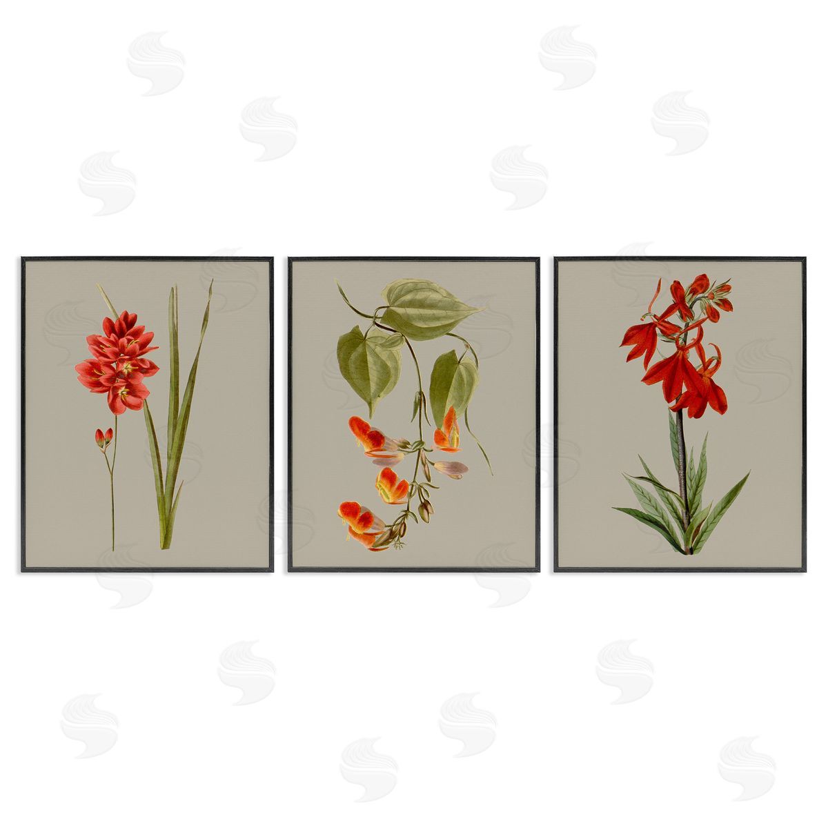 Vision Studio Woodland Flower Study Black Framed Giclee Wall Art Print