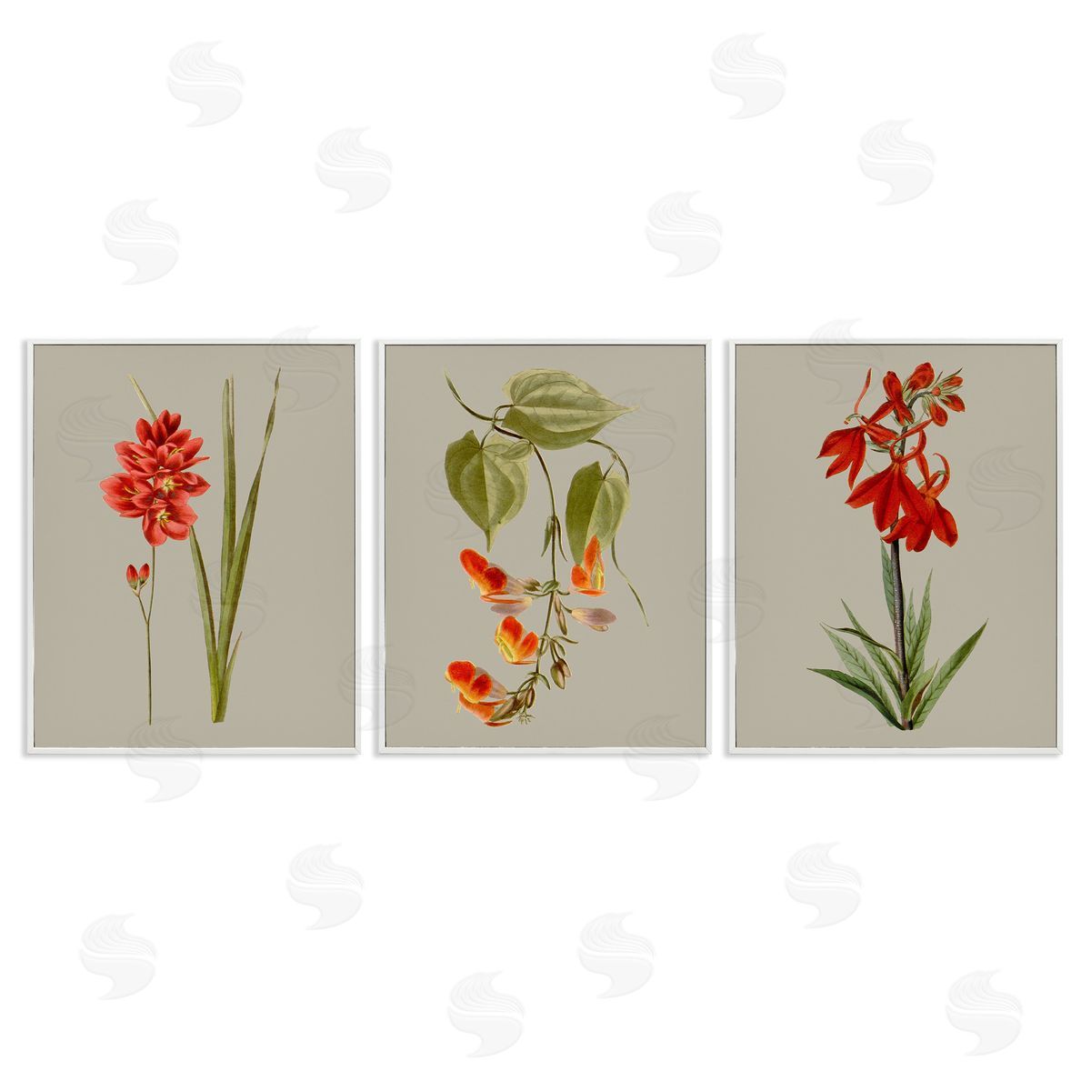 Vision Studio Woodland Flower Study White Framed Giclee Wall Art Print