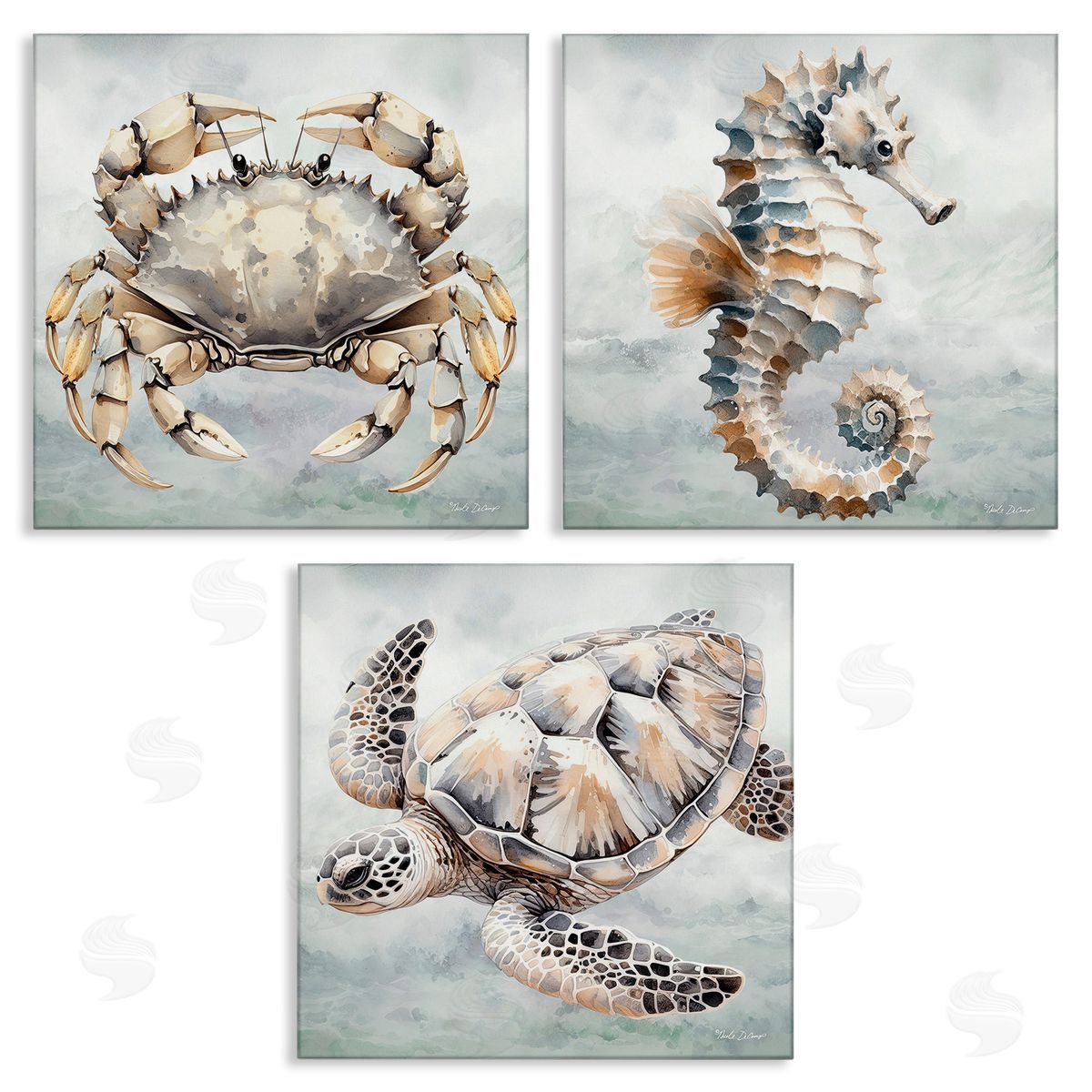 Nicole DeCamp Traditional Marine Life Canvas Wall Art Print