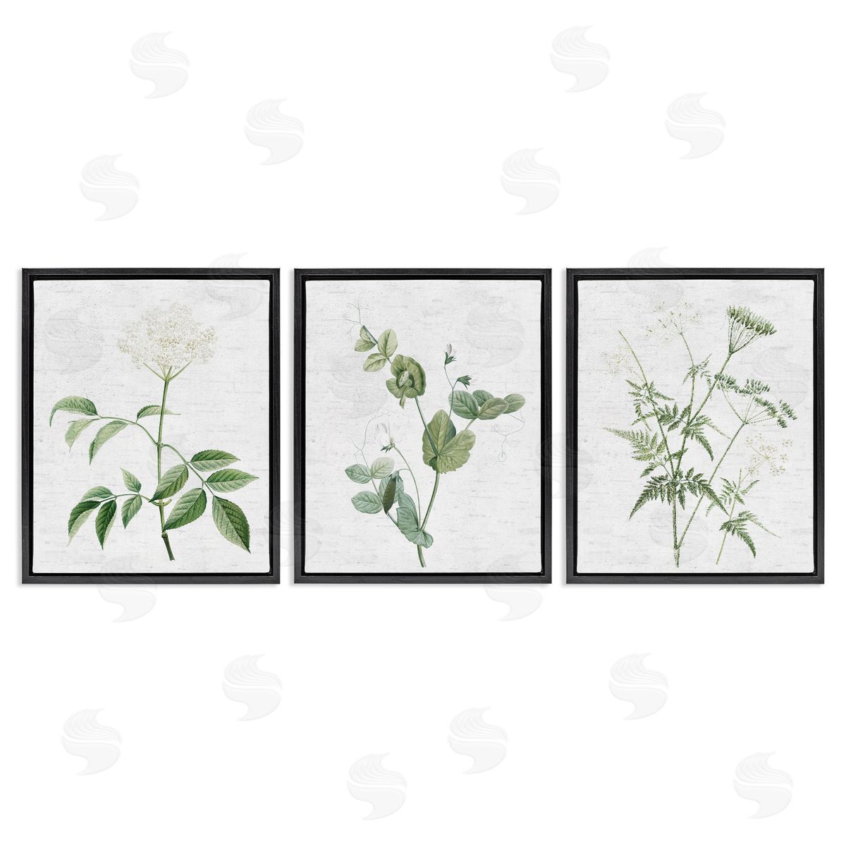 Soft White Botanicals Black Floating Frame Canvas Wall Art, Home Decor by Lettered and Lined