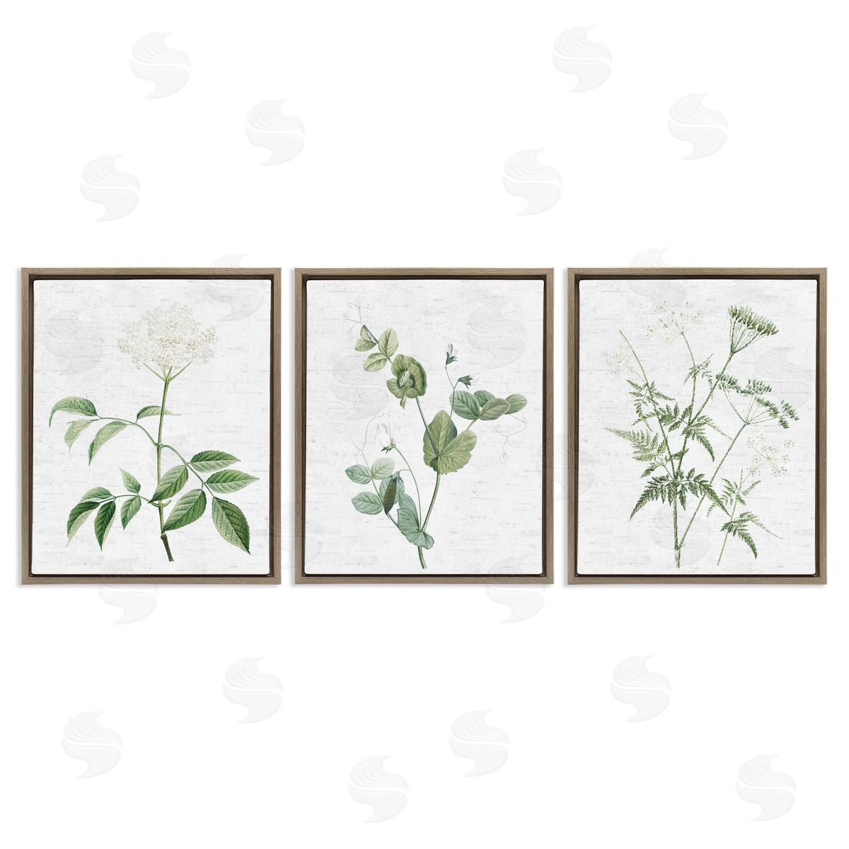 Soft White Botanicals Brown Floating Frame Canvas Wall Art, Home Decor by Lettered and Lined