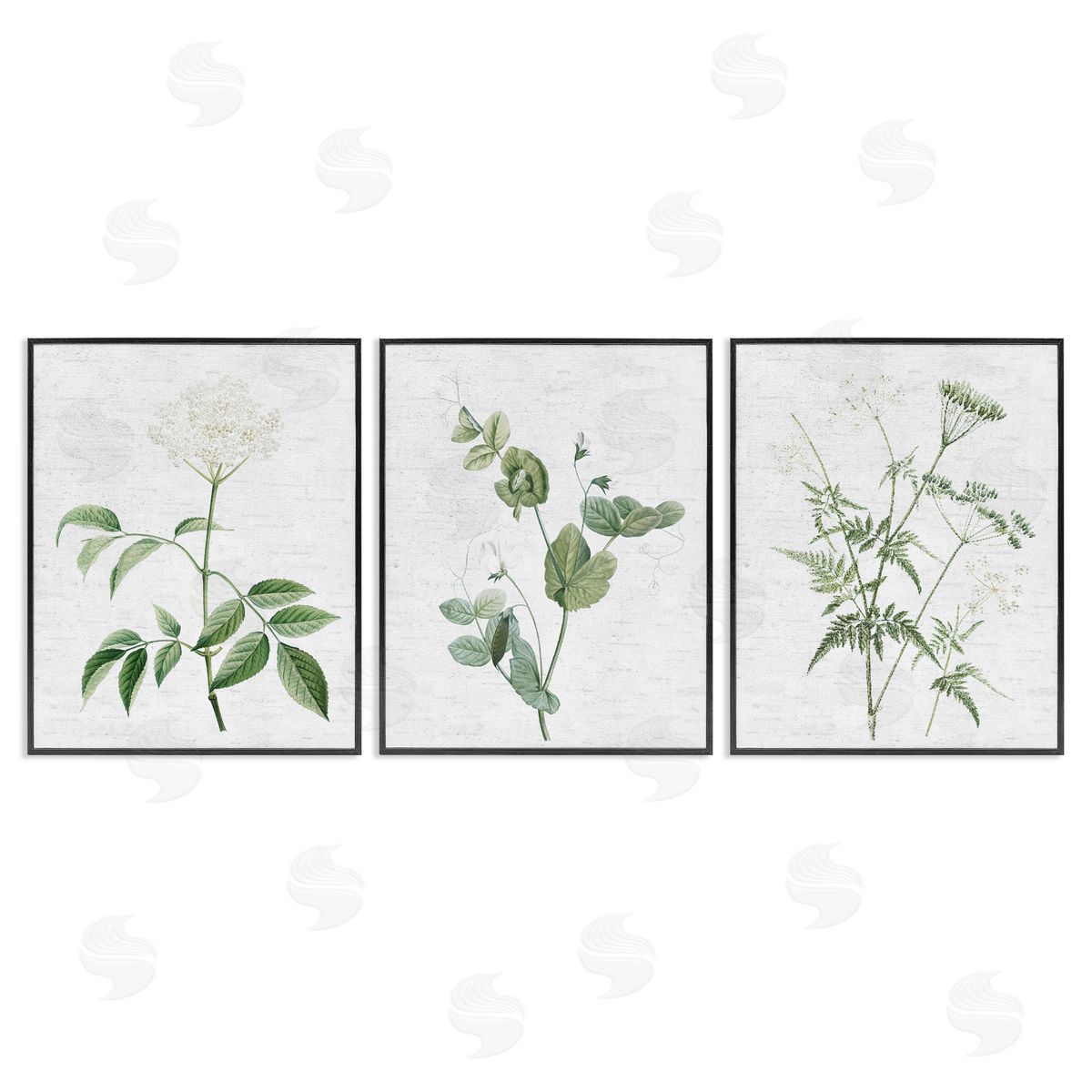 Soft White Botanicals Black Frame Print Wall Art, Home Decor by Lettered and Lined
