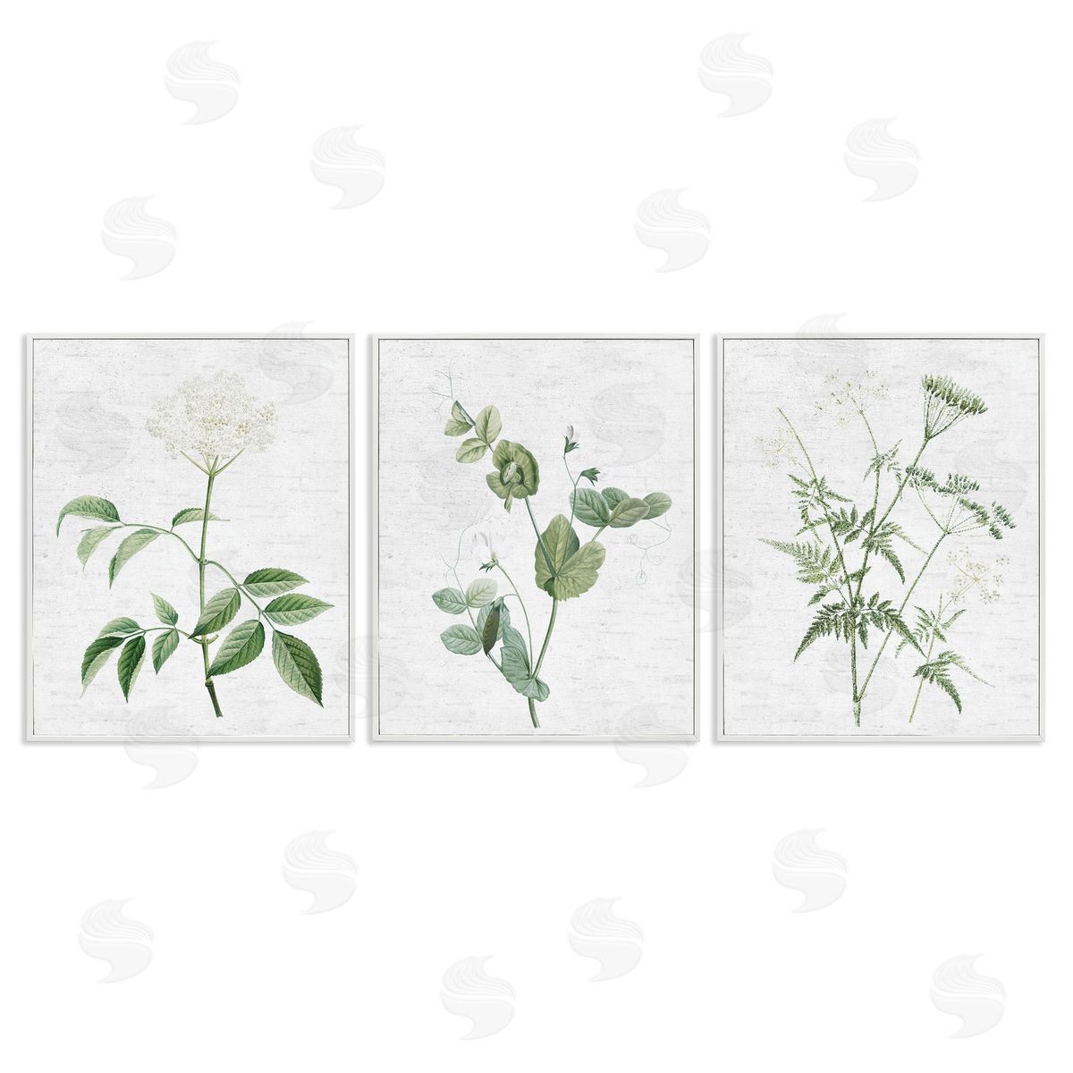 Soft White Botanicals White Frame Print Wall Art, Home Decor by Lettered and Lined