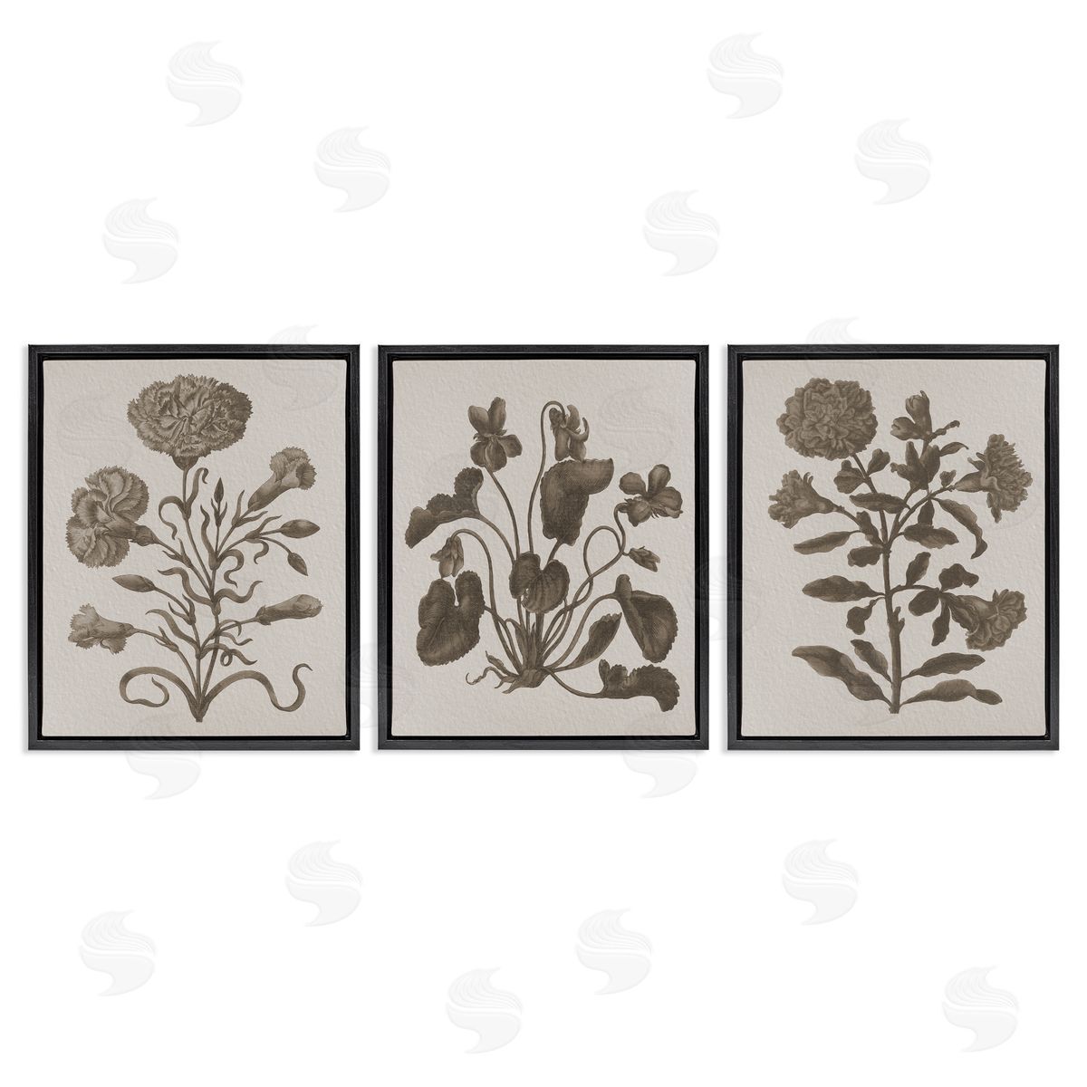 Vintage Country Botanicals Black Floating Frame Canvas Wall Art, Home Decor by Stupell Studio