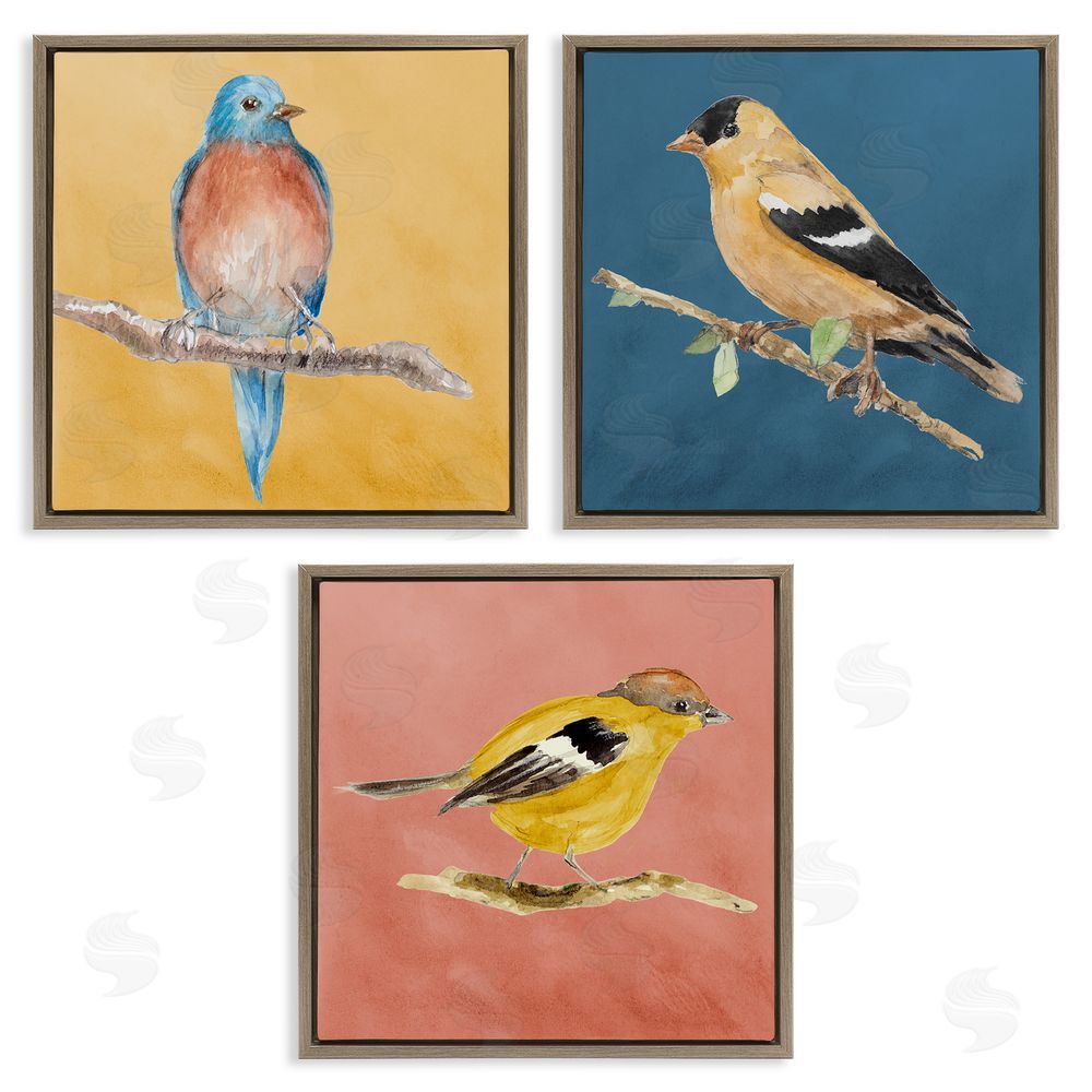 Lanie Loreth Brilliant Birds on Branches Brown Floating Frame Canvas Wall Art Print