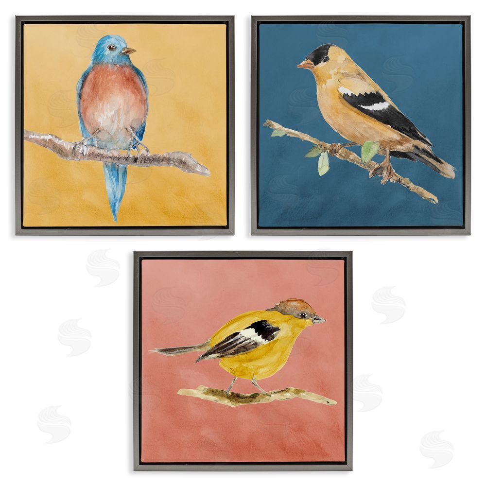 Lanie Loreth Brilliant Birds on Branches Gray Floating Frame Canvas Wall Art Print