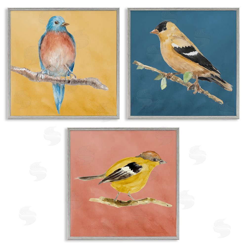 Lanie Loreth Brilliant Birds on Branches Gray Framed Giclee Wall Art Print