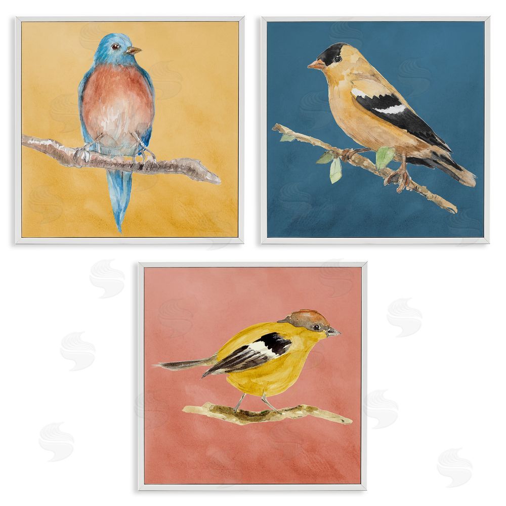 Lanie Loreth Brilliant Birds on Branches White Framed Giclee Wall Art Print