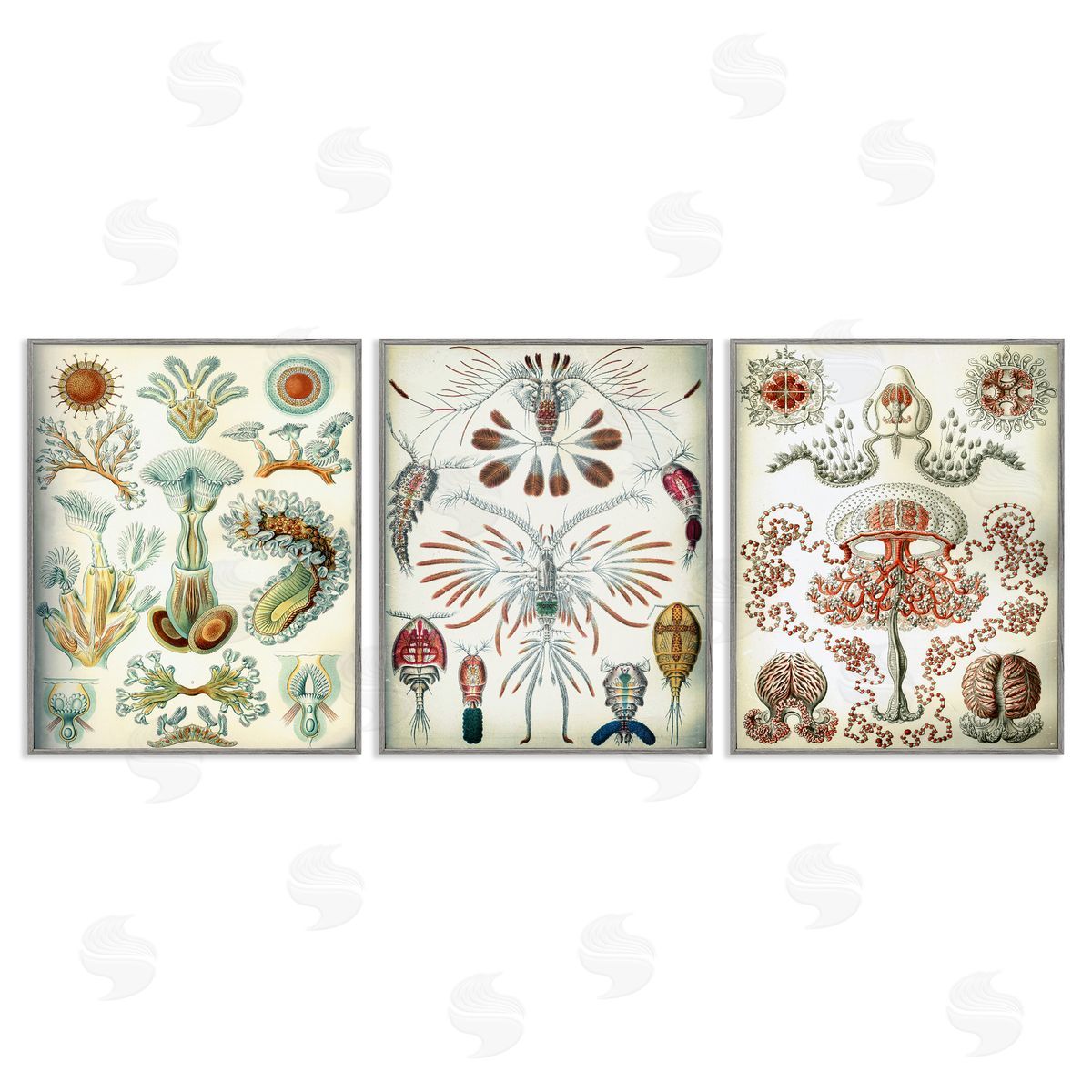 Vintage Microscopic Crustaceans Grey Frame Print Wall Art, Home Decor by Graffi*tee Studios