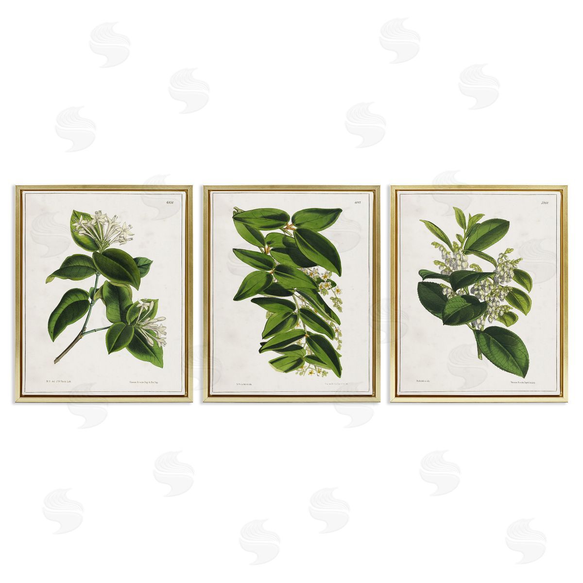 Vintage Forest Flower Studies Gold Floating Frame Canvas Wall Art, Home Decor by Tina Higgins Designs, Inc.