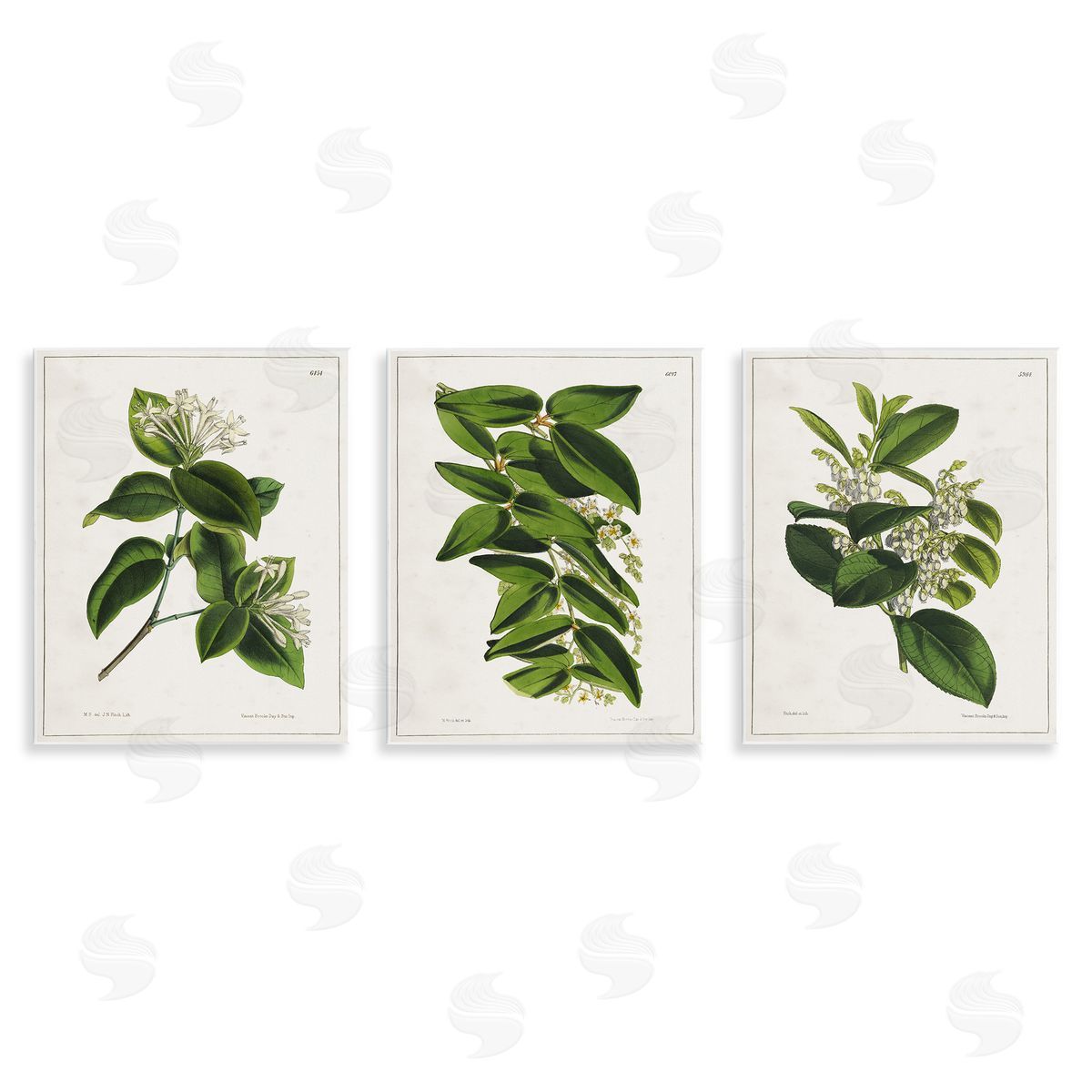 Vintage Forest Flower Studies Wood Plaque Wall Art, Home Decor by Tina Higgins Designs, Inc.