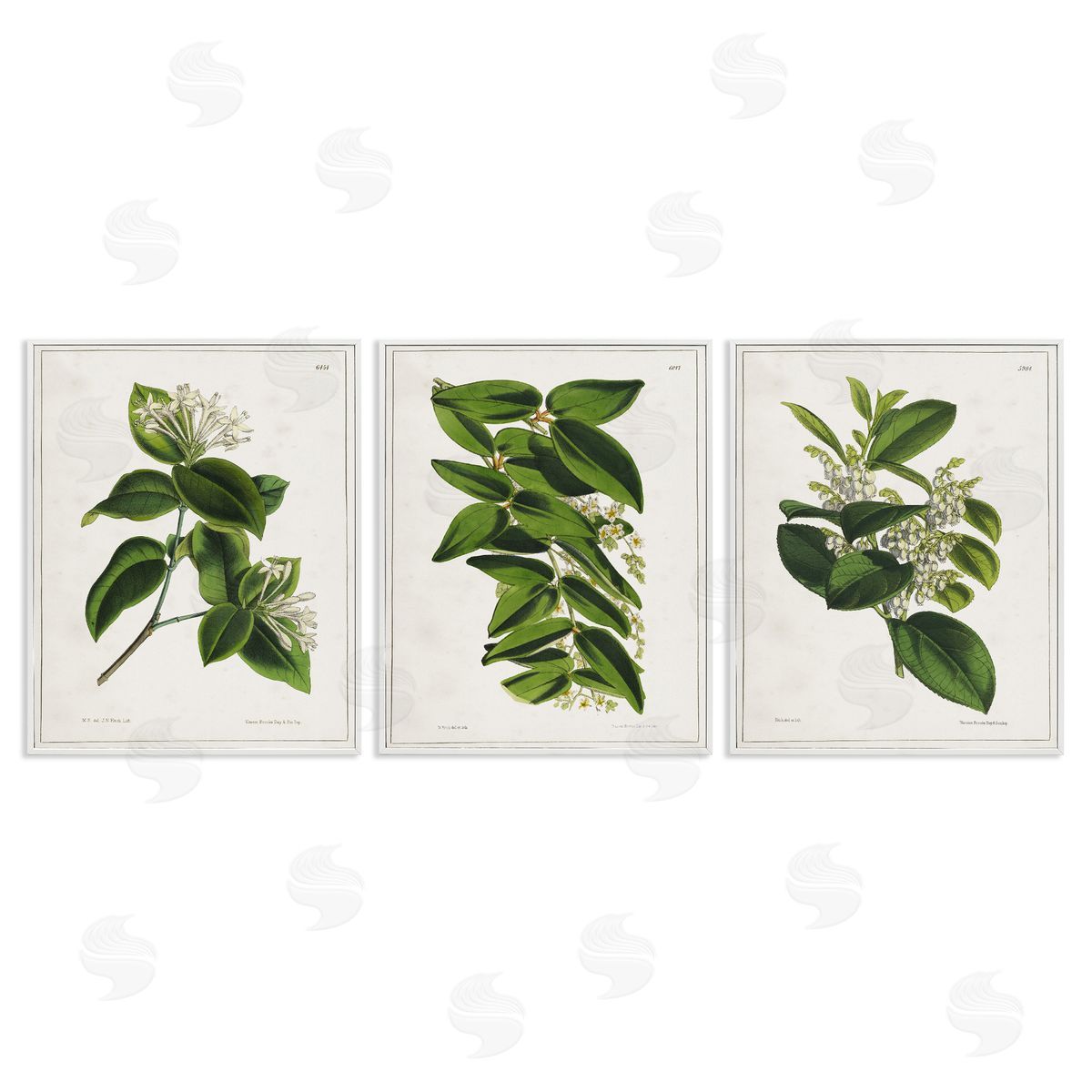 Vintage Forest Flower Studies White Frame Print Wall Art, Home Decor by Tina Higgins Designs, Inc.