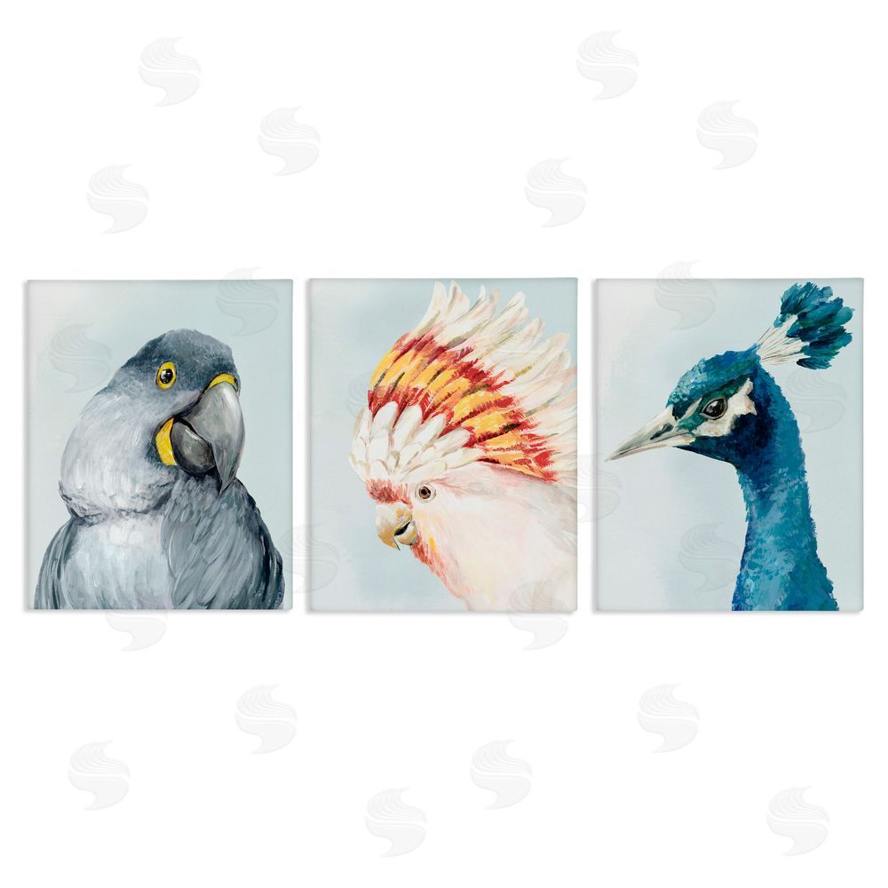 Hannah Dawson Vivid Plumage Bird Portraits Canvas Wall Art Set