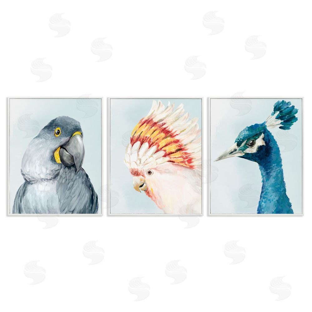 Hannah Dawson Vivid Plumage Bird Portraits White Frame Giclee Art Set