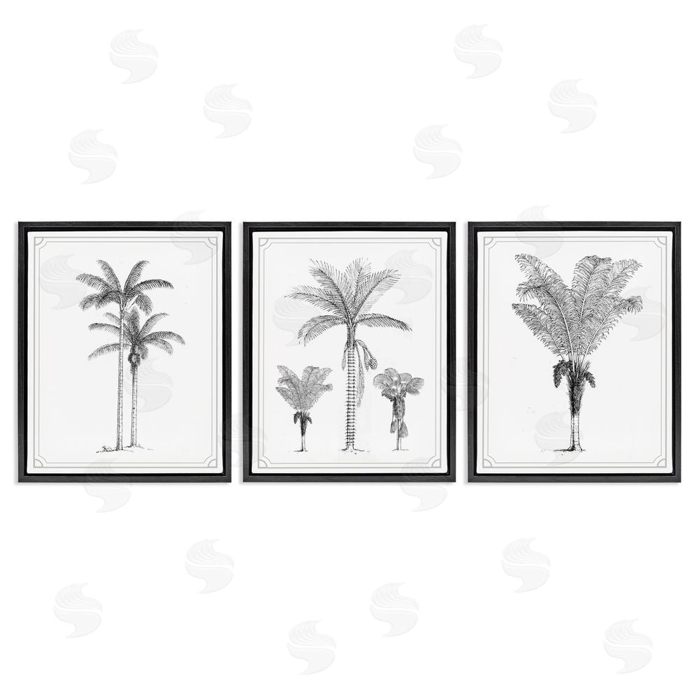 Lettered and Lined Minimal Vintage Palm Tree Sketches Black Floating Frame Canvas Wall Art Print