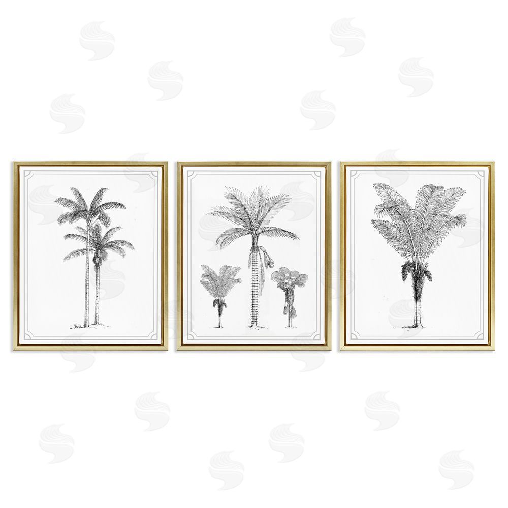 Lettered and Lined Minimal Vintage Palm Tree Sketches Gold Floating Frame Canvas Wall Art Print