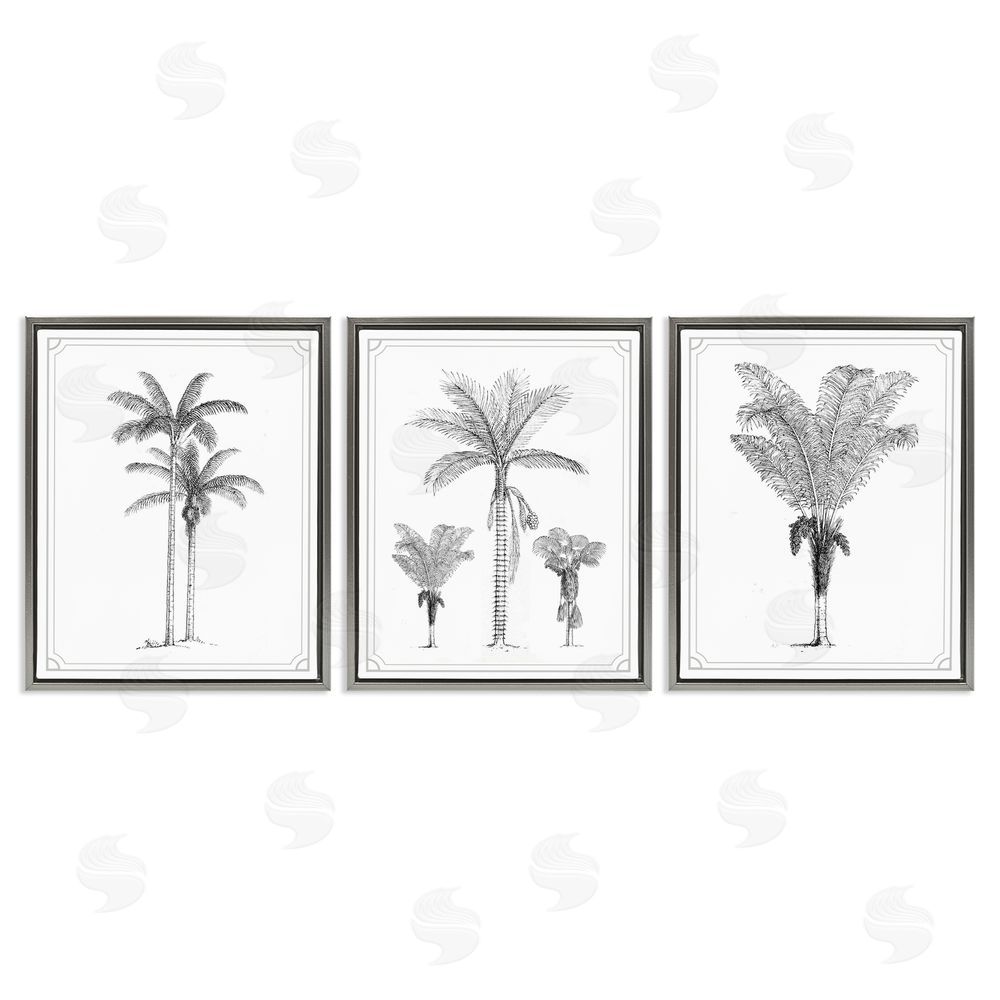 Lettered and Lined Minimal Vintage Palm Tree Sketches Gray Floating Frame Canvas Wall Art Print