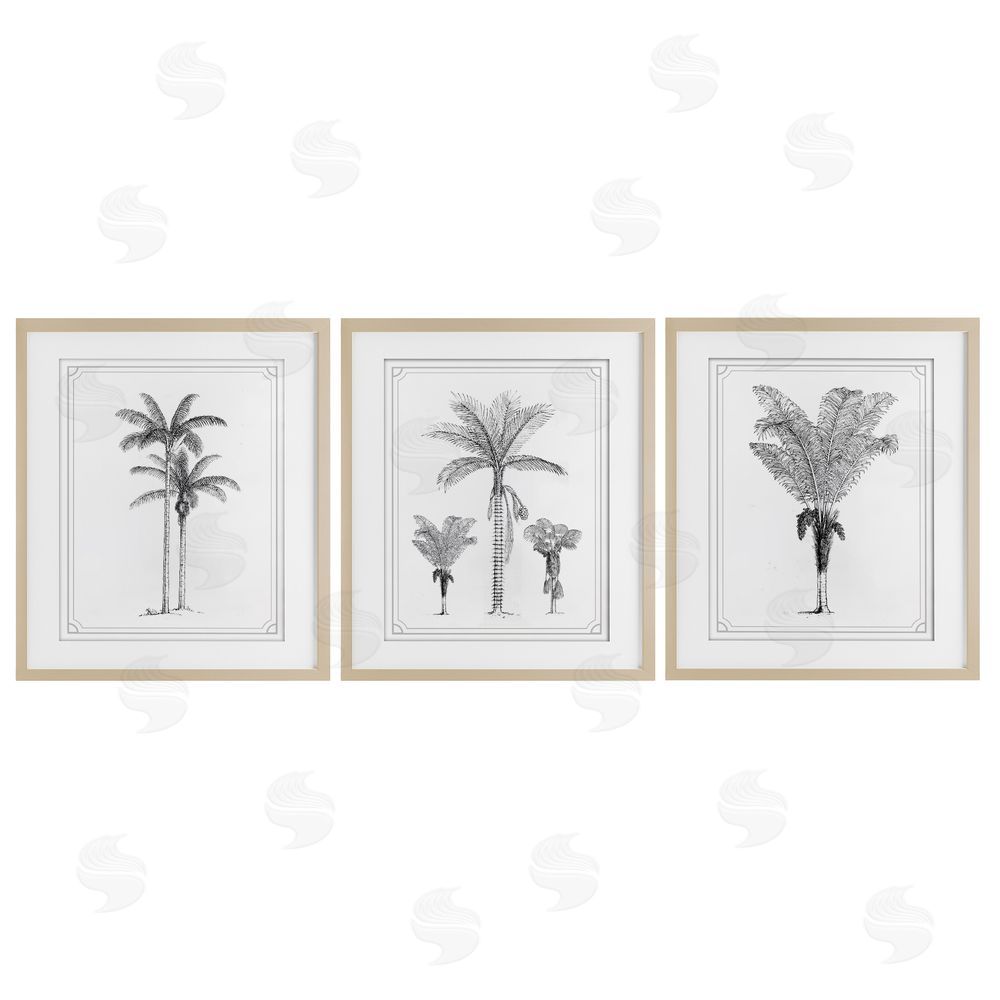 Lettered and Lined Minimal Vintage Palm Tree Sketches Brown Framed Print Under Glass Wall Art
