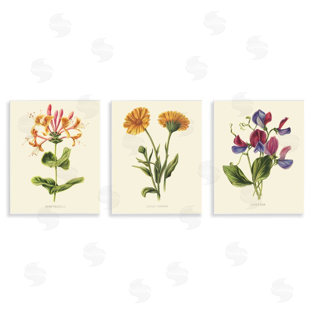 Connie Resch Flowering Plants Vintage Illustration Wall Plaque Art Print