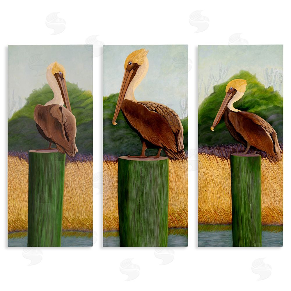 Barbara Fallenbaum Blue Eyed Pelicans in Marsh Stretched Canvas Wall Art Print