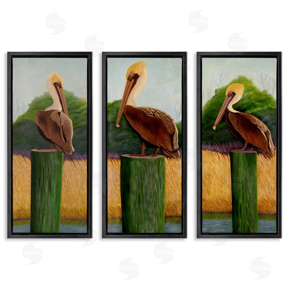 Barbara Fallenbaum Blue Eyed Pelicans in Marsh Black Floating Frame Canvas Wall Art Print