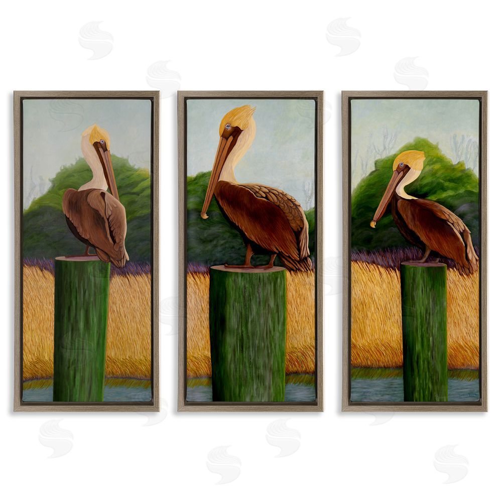 Barbara Fallenbaum Blue Eyed Pelicans in Marsh Brown Floating Frame Canvas Wall Art Print