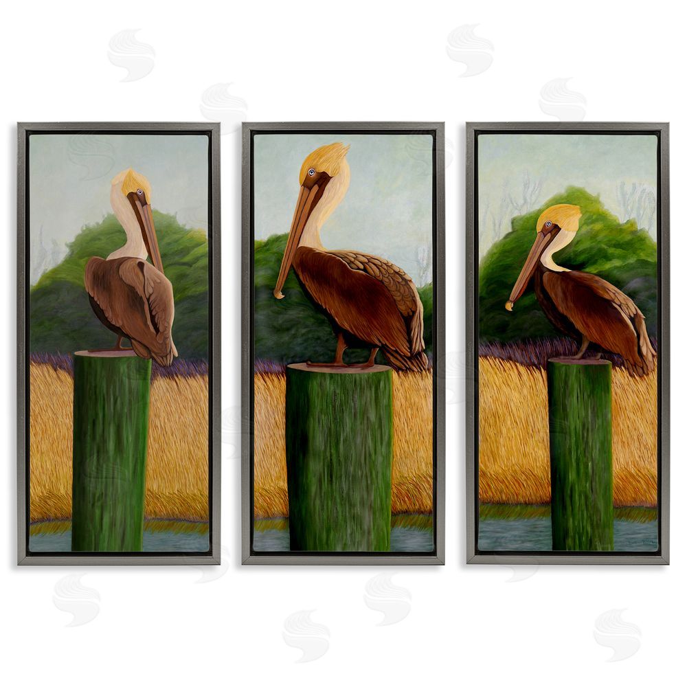 Barbara Fallenbaum Blue Eyed Pelicans in Marsh Gray Floating Frame Canvas Wall Art Print