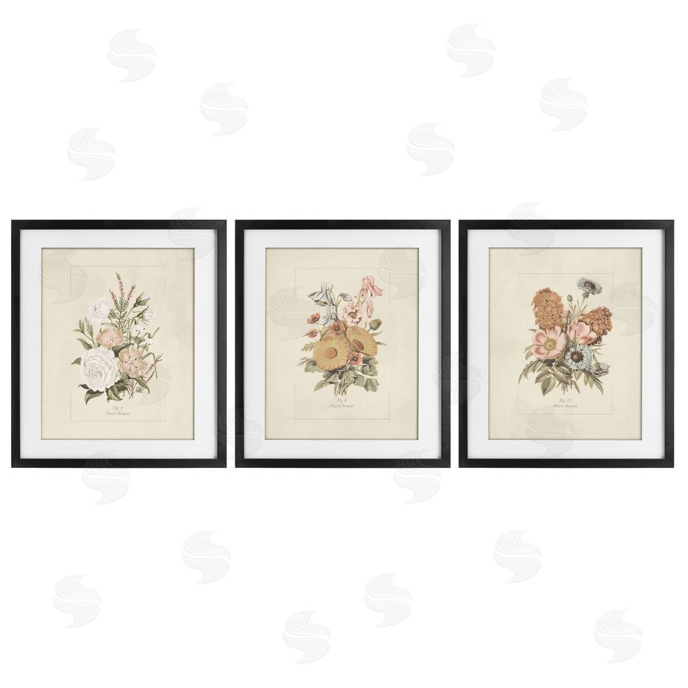 Dan Meneely Neutral Bouquet Studies Black Framed Print Under Glass Wall Art