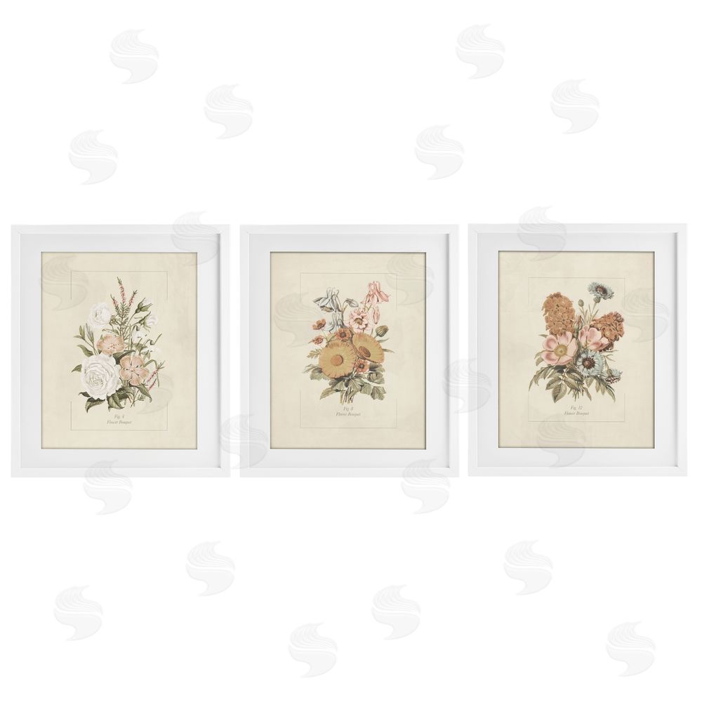 Dan Meneely Neutral Bouquet Studies White Framed Print Under Glass Wall Art