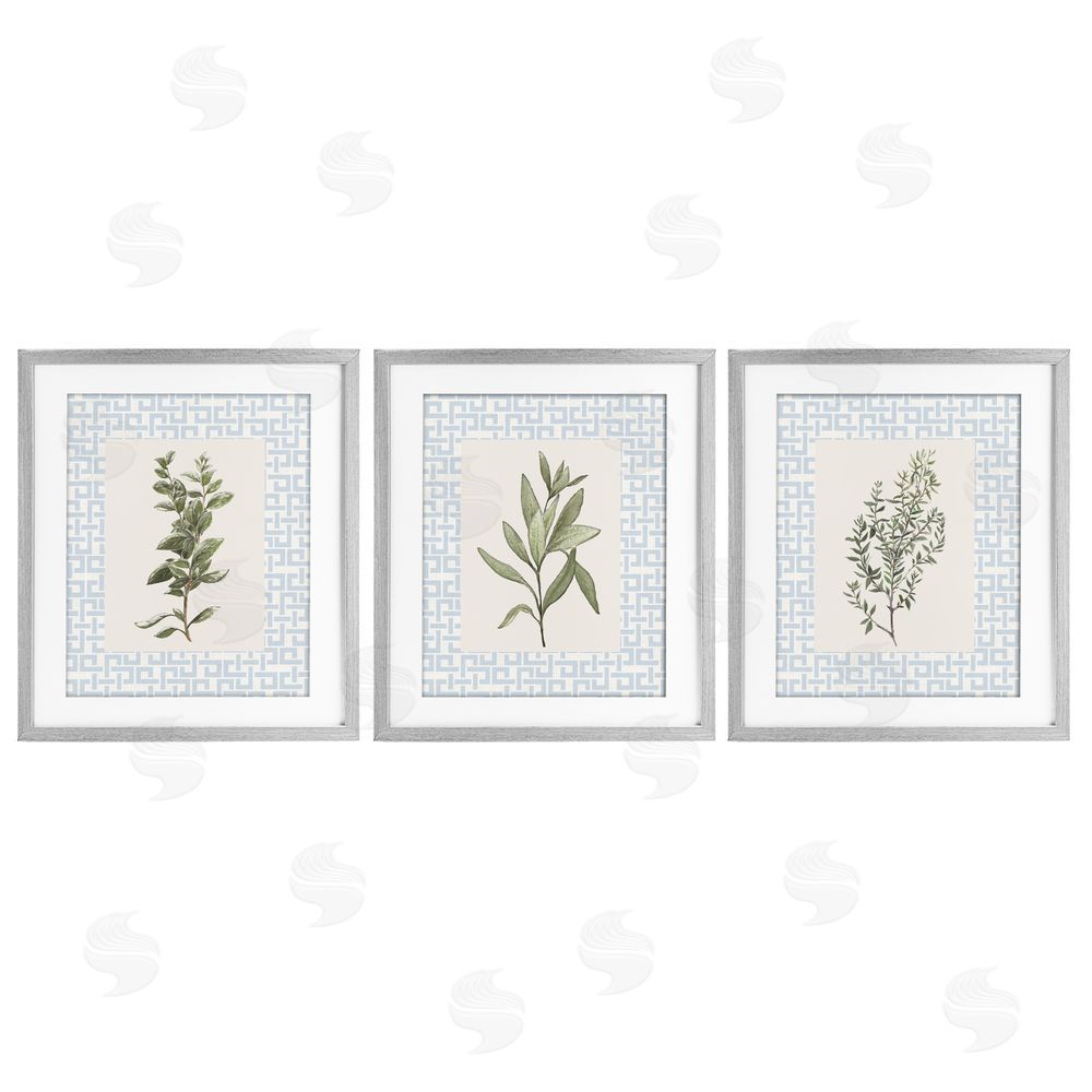 Sundance Graphics Kitchen Herbs on Geometric Gray Framed Print Under Glass Wall Art