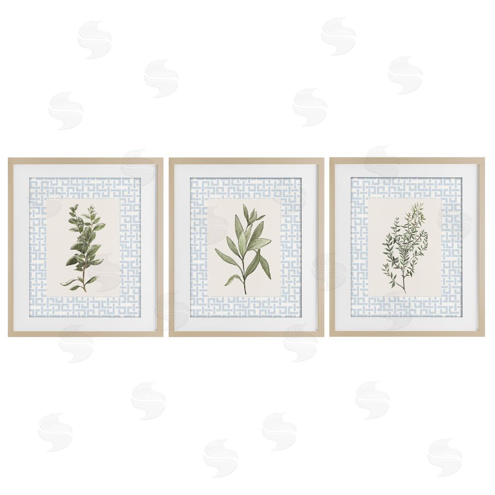 Sundance Graphics Kitchen Herbs on Geometric Birch Framed Print Under Glass Wall Art