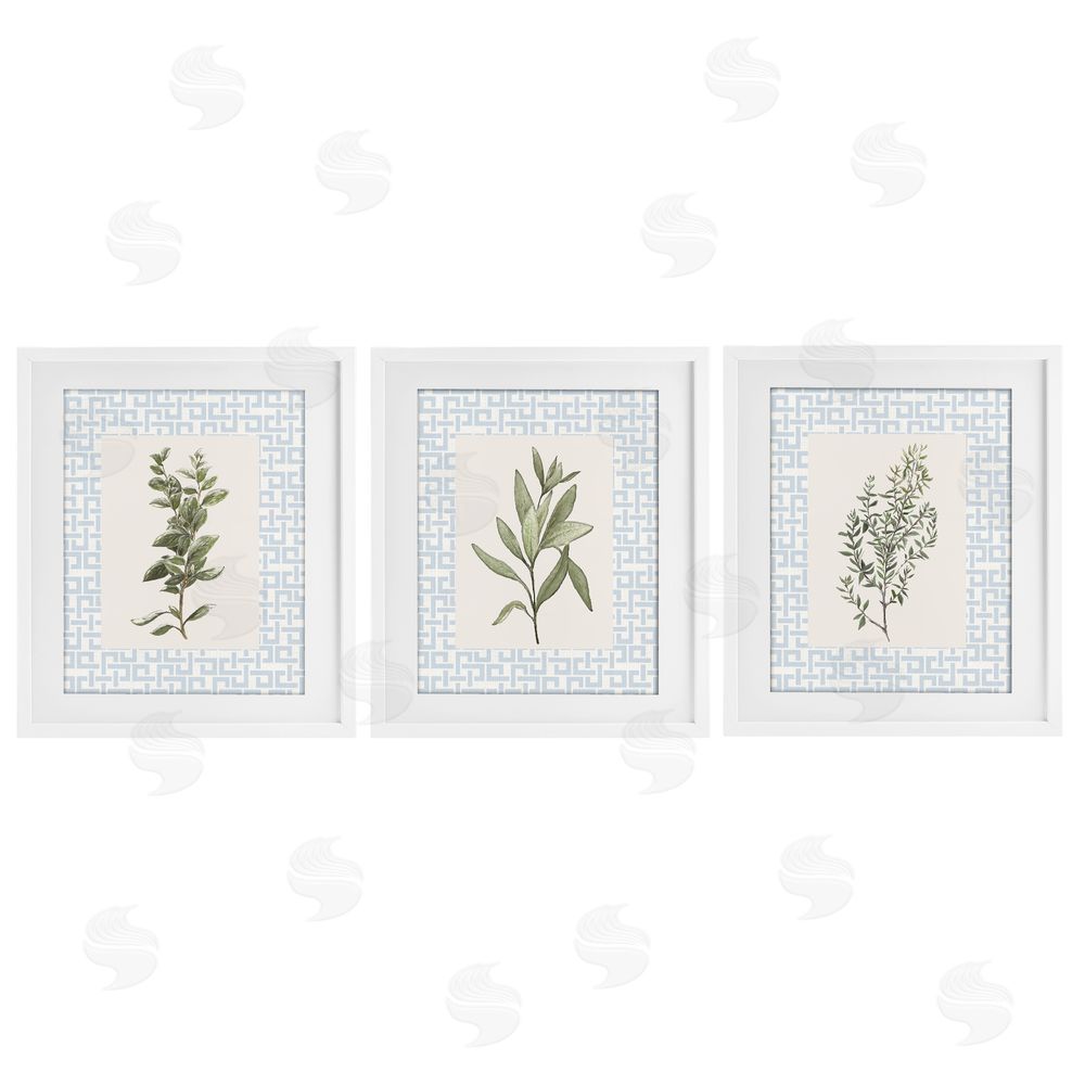 Sundance Graphics Kitchen Herbs on Geometric White Framed Print Under Glass Wall Art