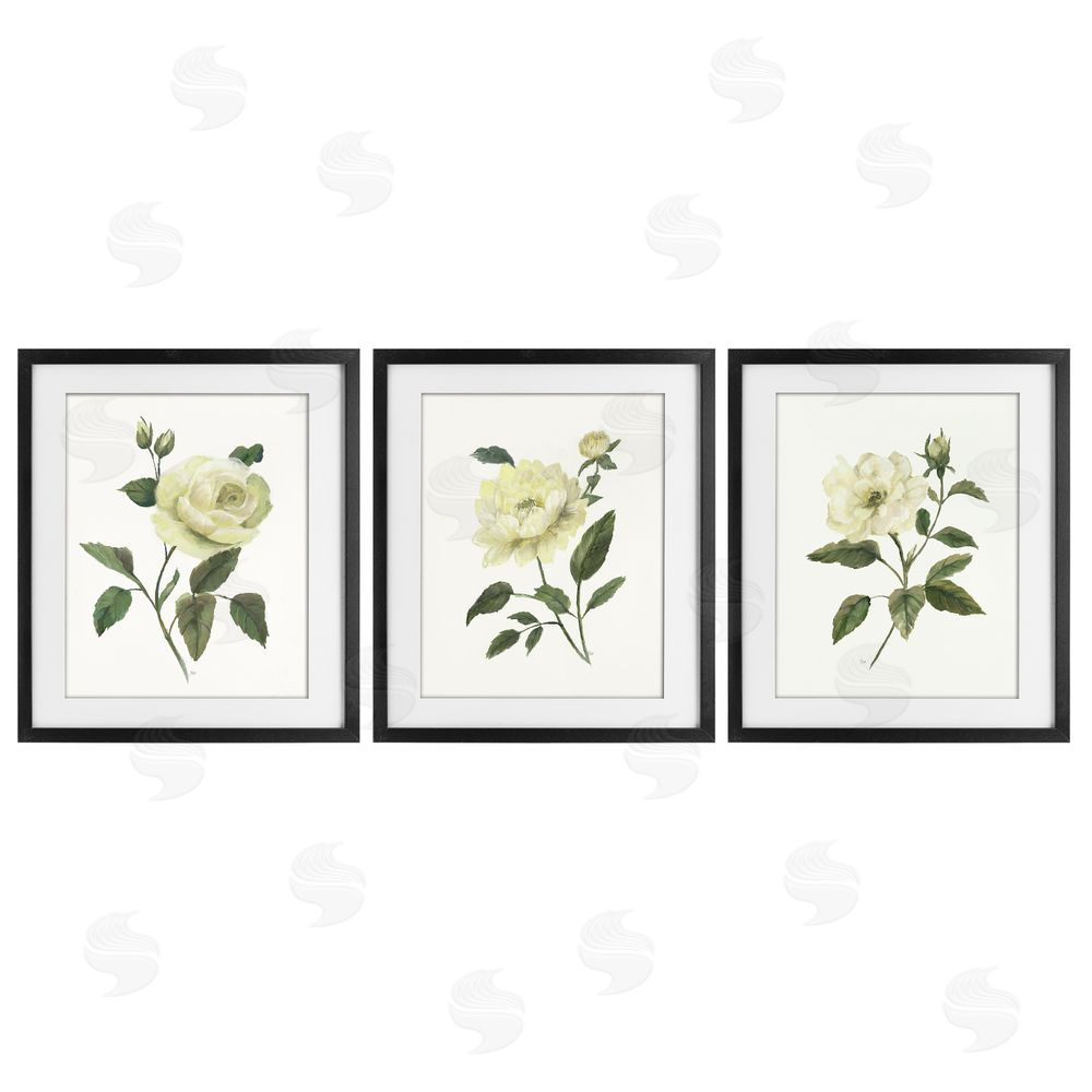 Nan Ivory Budding Garden Flowers Black Framed Print Under Glass Wall Art