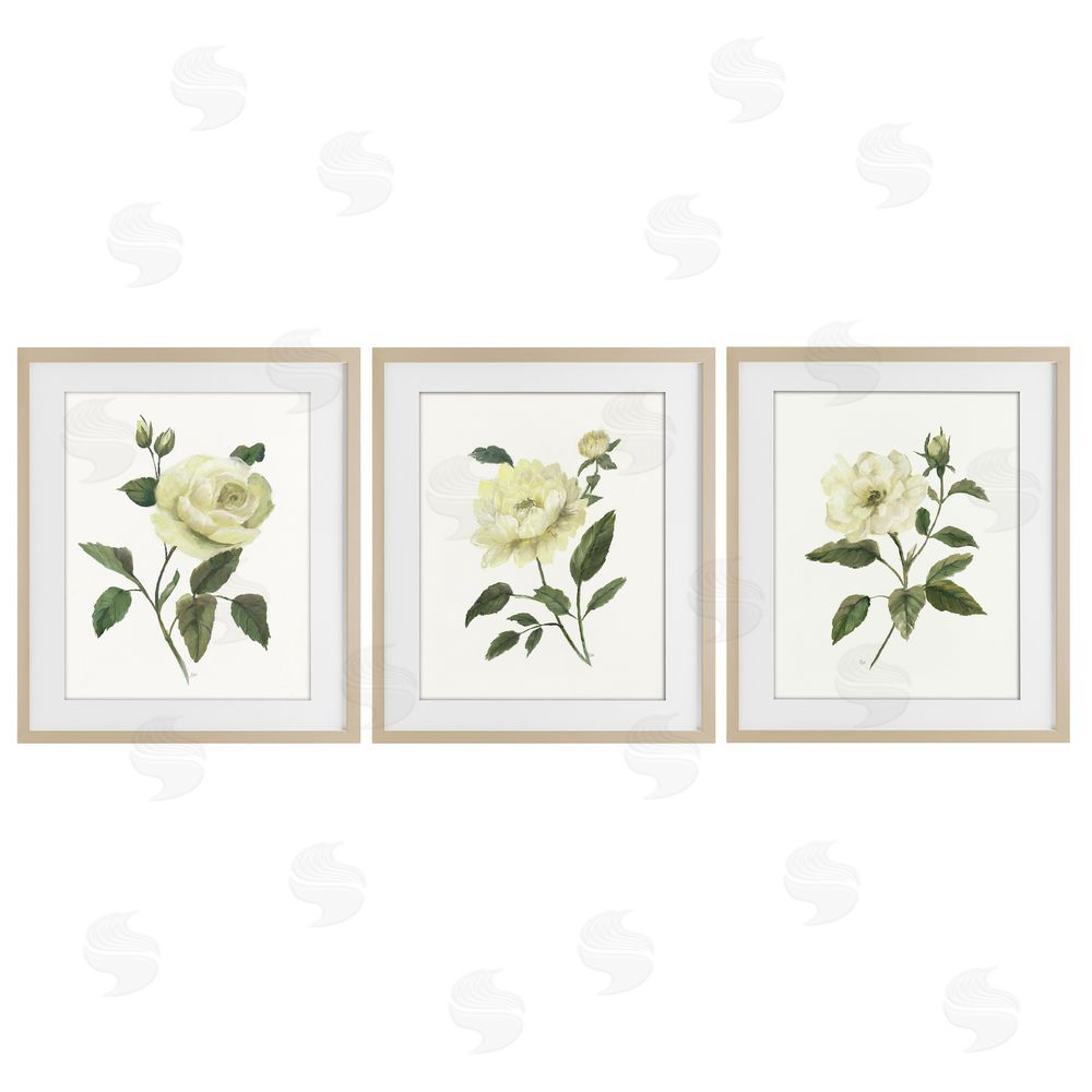 Nan Ivory Budding Garden Flowers Brown Framed Print Under Glass Wall Art