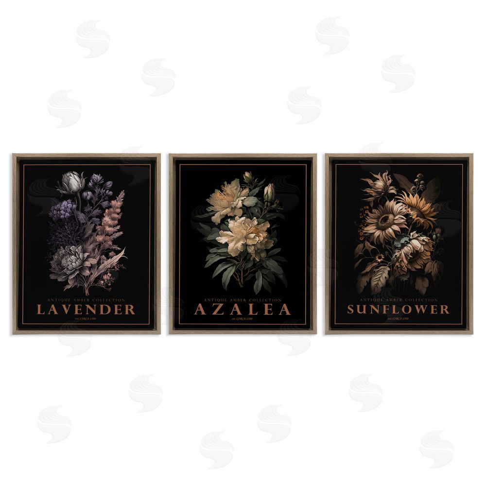 Image Conscious Antique Botanical Herb Bushels Brown Floating Frame Canvas Wall Art Print