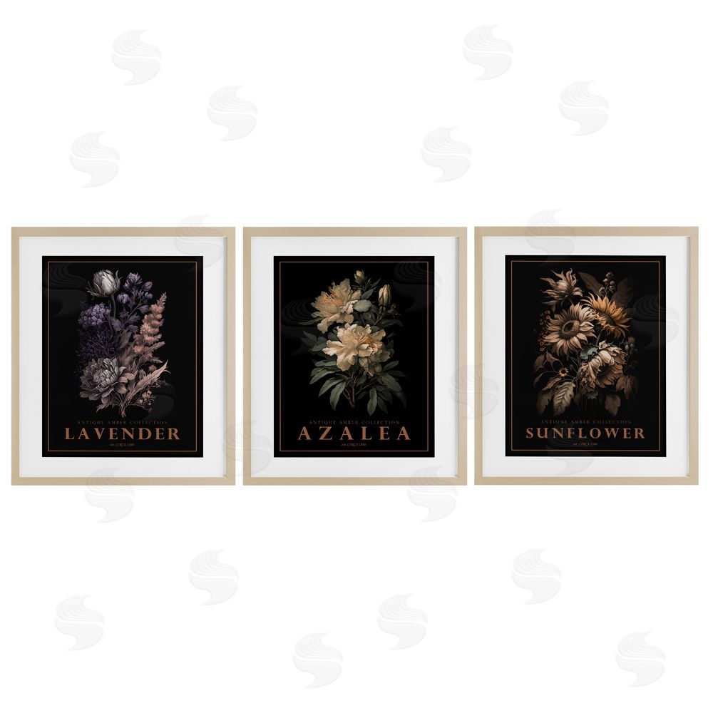 Image Conscious Antique Botanical Herb Bushels Birch Framed Print Under Glass Wall Art