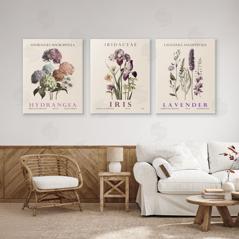 Image Conscious Botanical Bundles & Sprigs Canvas Wall Art Print in Room