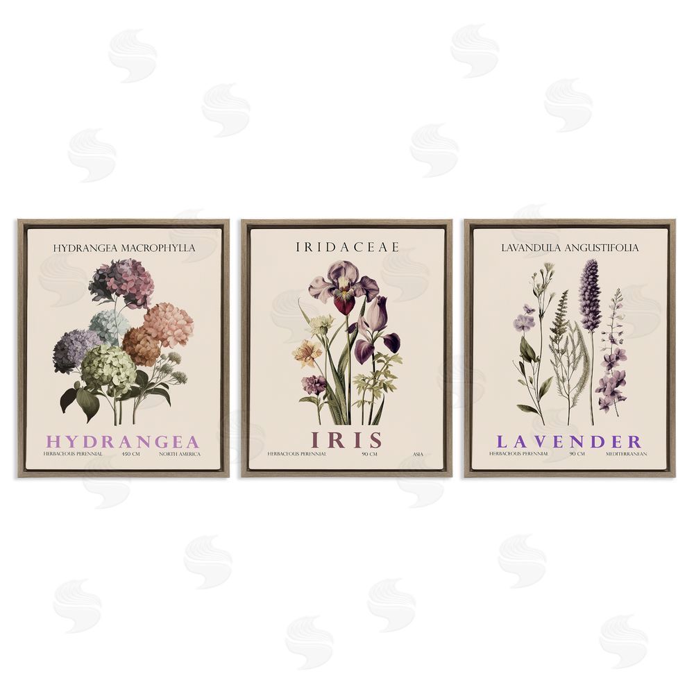 Image Conscious Botanical Bundles & Sprigs Brown Floating Frame Canvas Wall Art Print