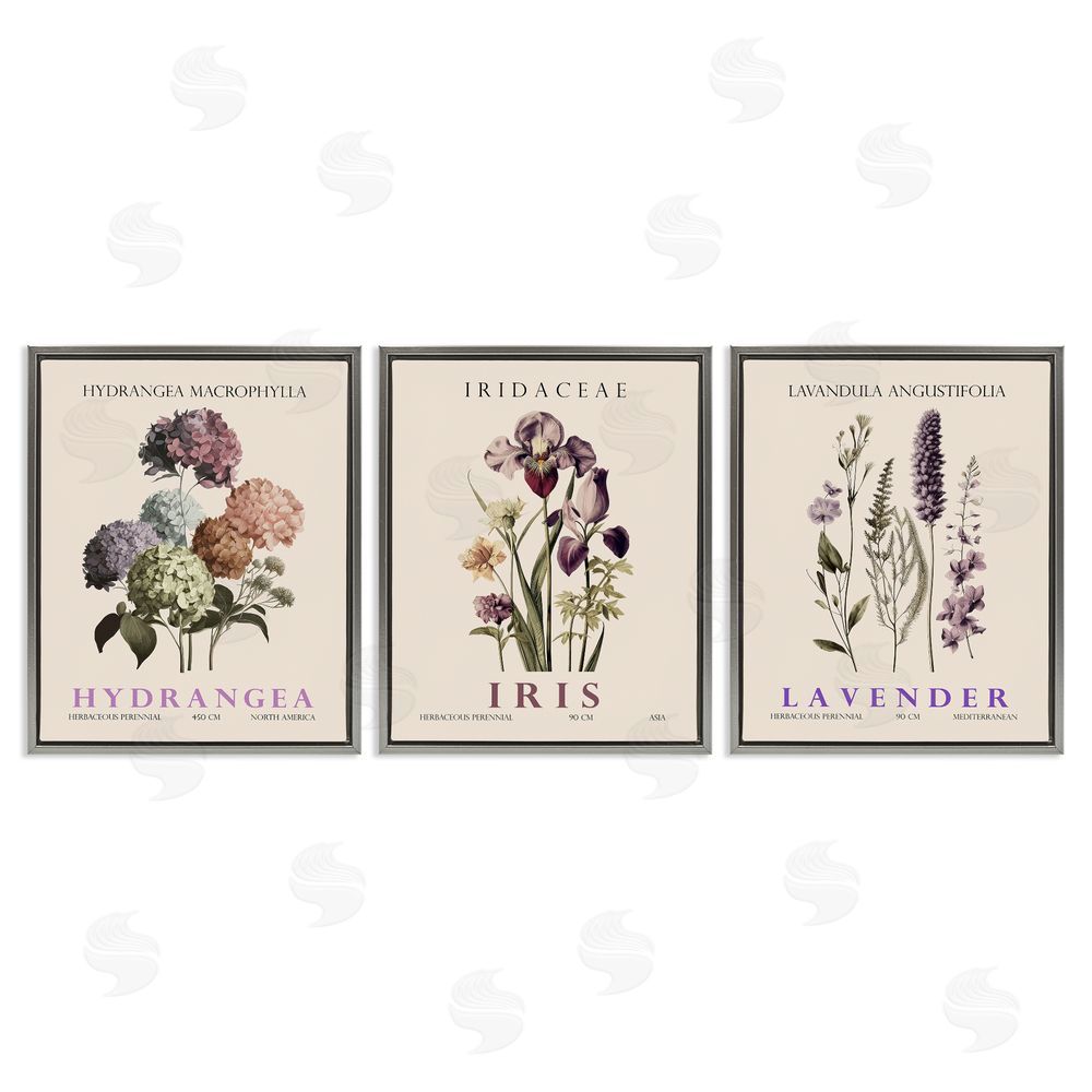 Image Conscious Botanical Bundles & Sprigs Gray Floating Frame Canvas Wall Art Print