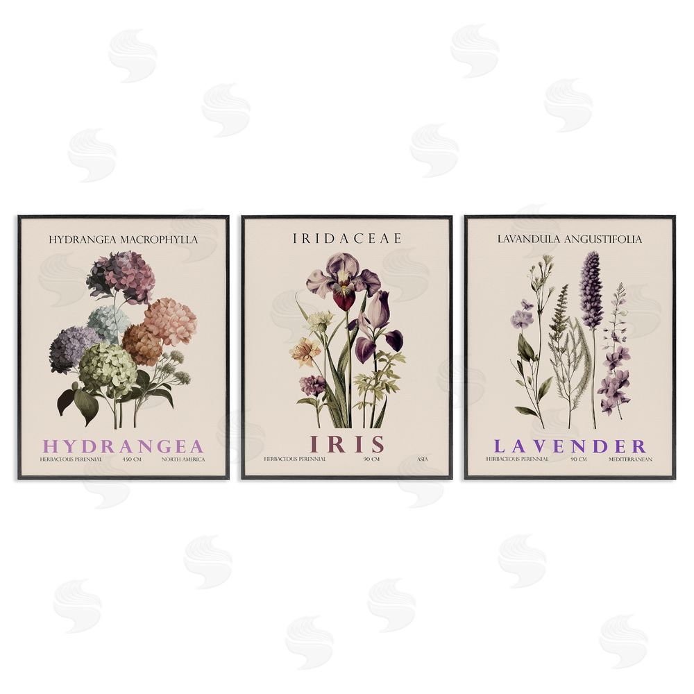 Image Conscious Botanical Bundles & Sprigs Black Framed Giclee Wall Art Print