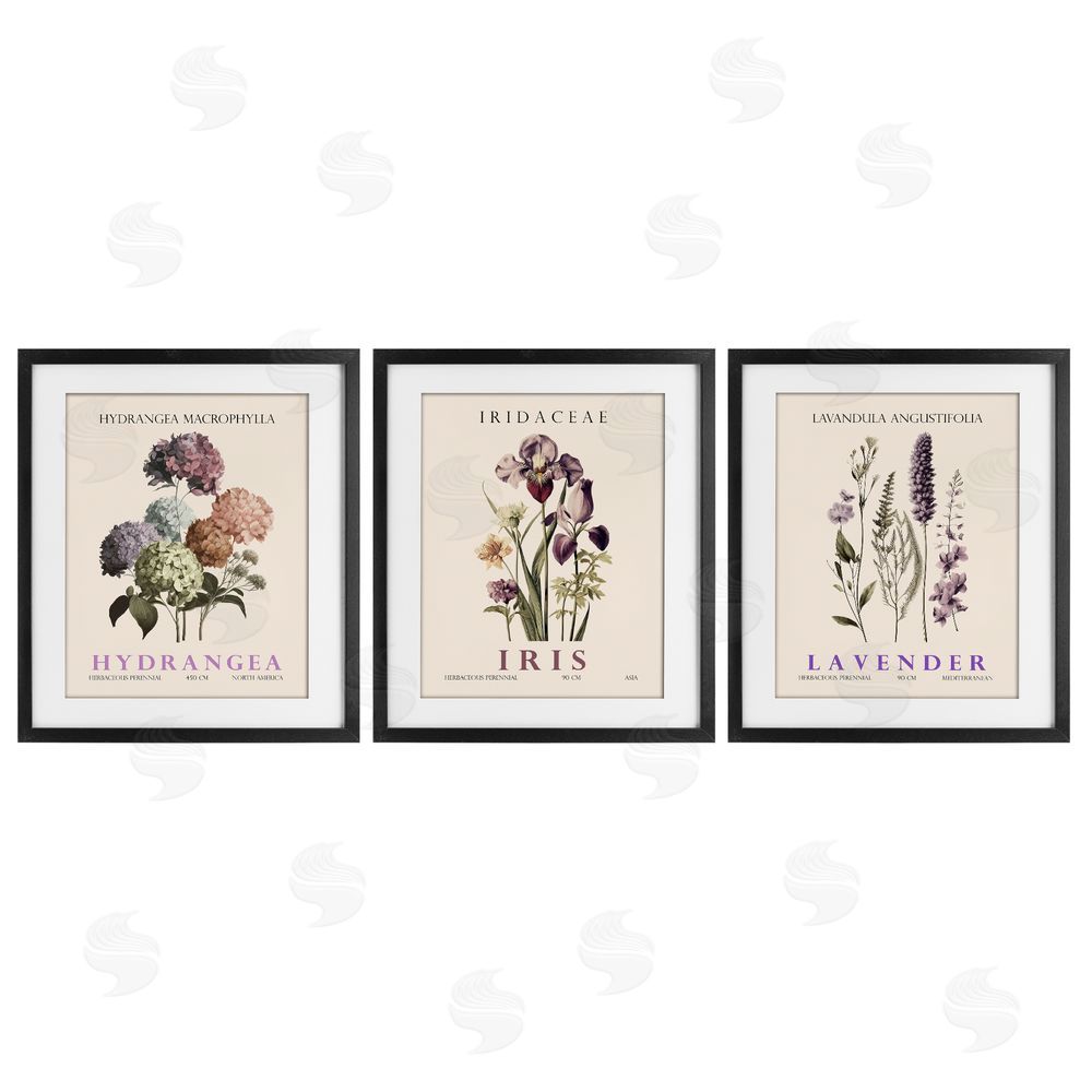 Image Conscious Botanical Bundles & Sprigs Black Framed Print Under Glass Wall Art
