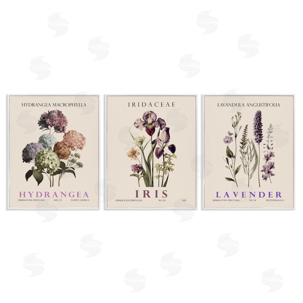 Image Conscious Botanical Bundles & Sprigs White Framed Giclee Wall Art Print