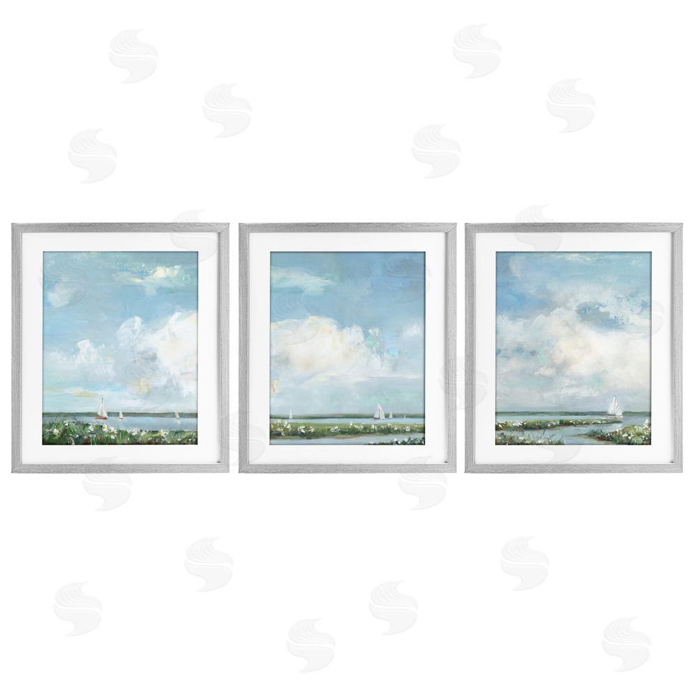 Sally Swatland Daisies Along Calm Coastline Gray Framed Print Under Glass Wall Art