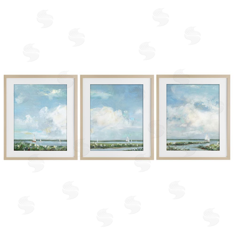 Sally Swatland Daisies Along Calm Coastline Brown Framed Print Under Glass Wall Art