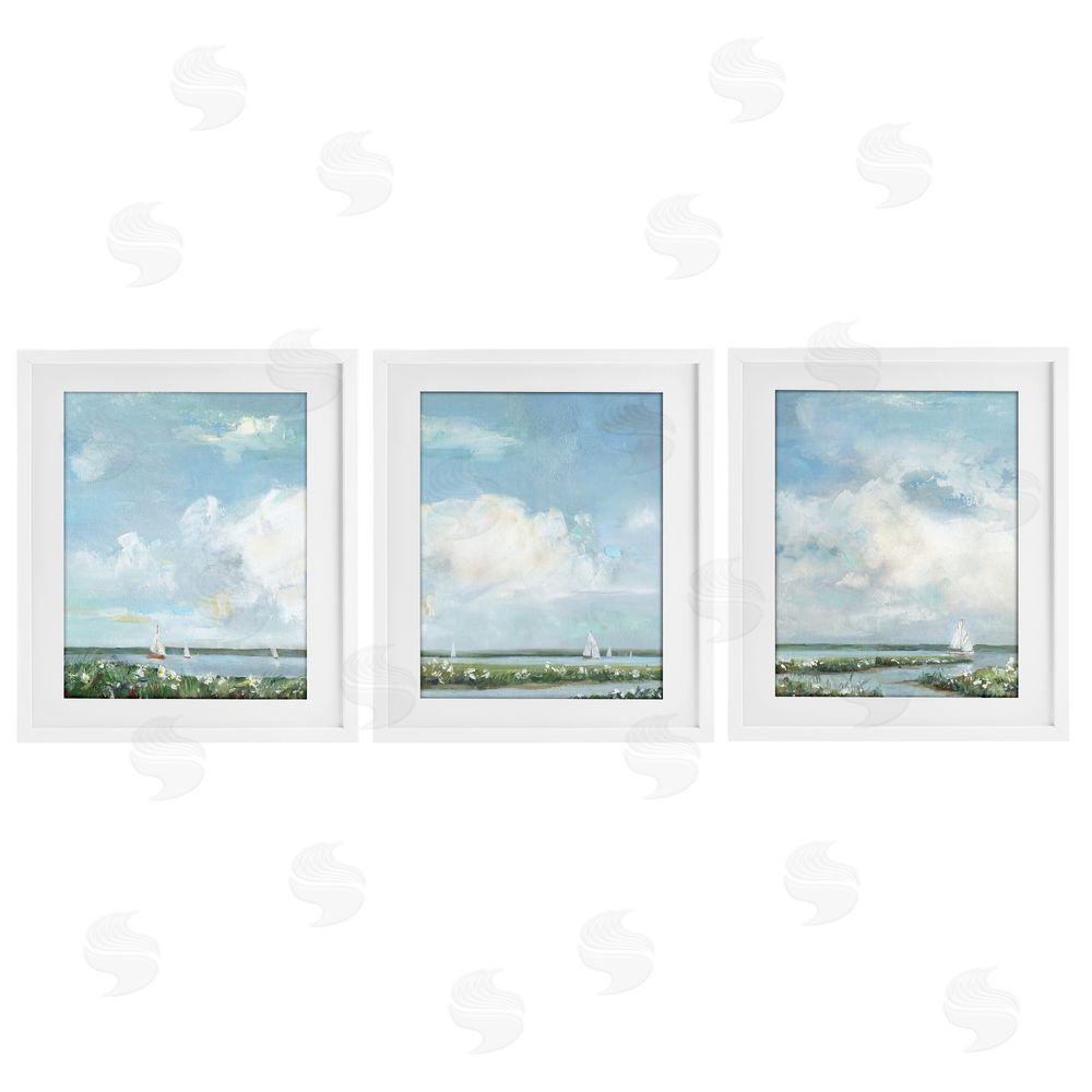 Sally Swatland Daisies Along Calm Coastline White Framed Print Under Glass Wall Art